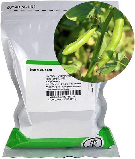 Broad Windsor Fava Bean Seeds - Amazon.com