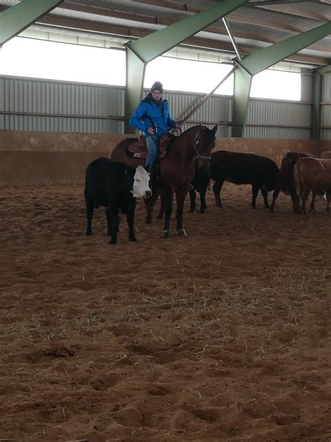 Brobacken recensioner