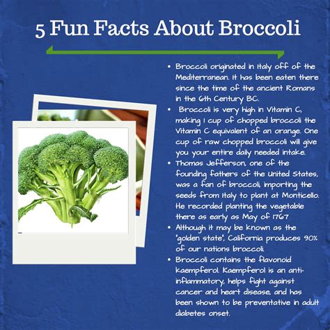 Broccoli Fartsnbi