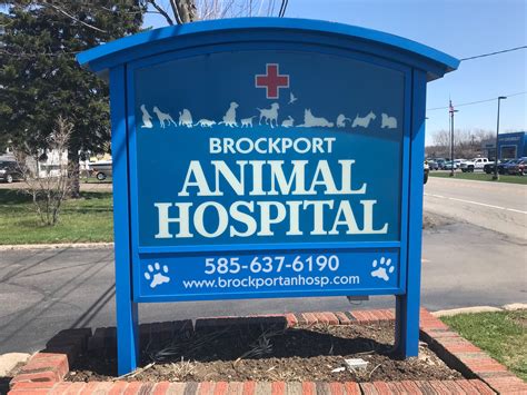 Brockport Animal Hospital. 14. Veterinarians. Suburban 