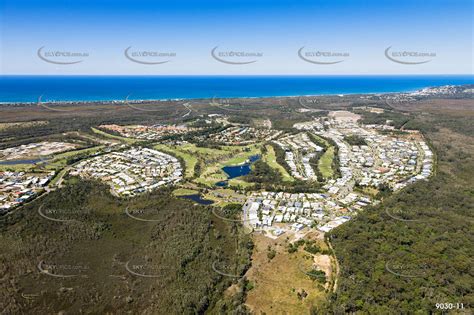 Brocky The Lockey Peregian Springs QLD - Facebook