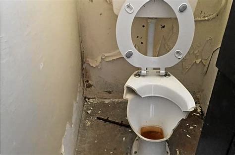 Broken toilet. Aug 19, 2020 · Use a paper knife, a putty knife or any other tool that can spread the sealer over the crack. Doing this helps the toilet look good even when you’ve applied something to the cracks. Also, spreading the sealer keeps other areas from cracking. 5. Allow the silicone epoxy to dry. 