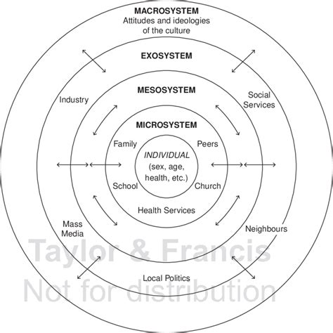 Bronfenbrenner's ecological systems theory wikipedia