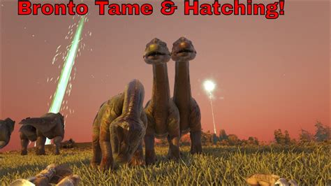 Welcome back everyone. In today's episode we take a look at how to tame the Bronto and what you can use it for. Hope you all enjoy the video and if you have ...
