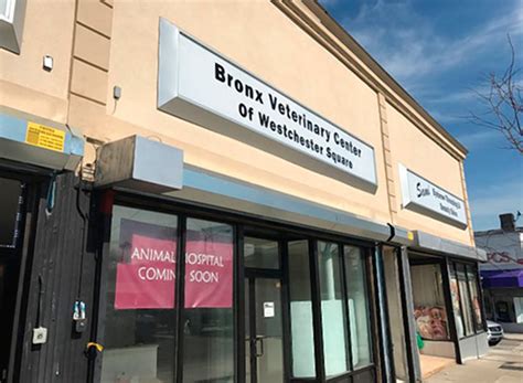 Bronx veterinary center of westchester square bronx ny 10461. 
