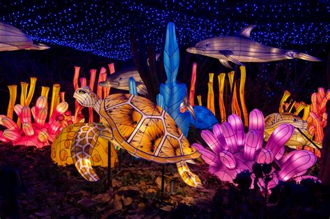 Bronx zoo holiday lights. Holiday Lights opened at the Bronx Zoo Tuesday night. The zoo's director Jim Breheny was on hand with a representative from event sponsor Con Edison to flip the switch and bring the festivities to ... 