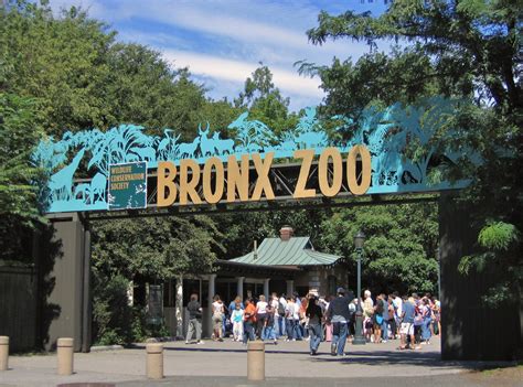 Bronxzoo - The Bronx Zoo is situated at 2300 Southern Blvd, The Bronx, NY 10460, and its gates are open from 10 AM every day. In case you need driving directions to the Bronx Zoo, use the listed address. The zoo has two main entrances — Bronx River Gate and Southern Boulevard Gate — and there’s a car parking area at each gate.
