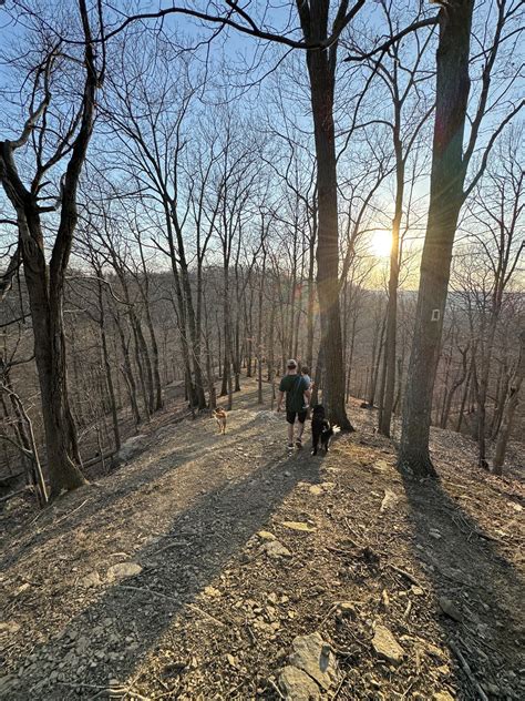 🔥 Brooke Rossel Onlyfans Leak [CLIP] 169 Vids