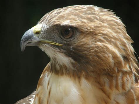 Brookemarie23 Onlyfans Leaked 🍆 XXX