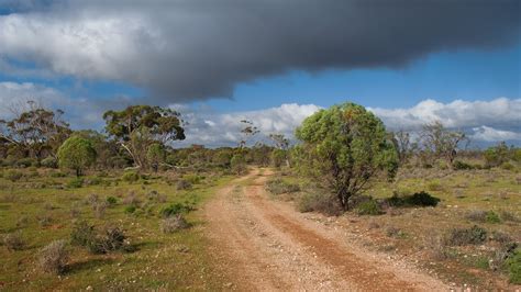 Brookfield Conservation Park - Blanchetown, …