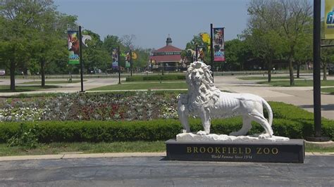 Brookfield Zoo named 5th best zoo in new poll