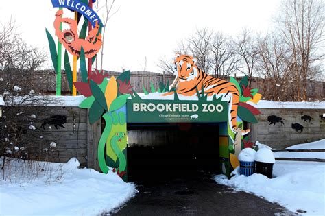 Brookfield zoo brookfield il. Things To Know About Brookfield zoo brookfield il. 
