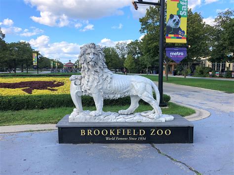 Brookfield zoo chicago. Brookfield Zoo Chicago is home to more than 3,400 animals of over 500 species from around the globe. Learn about many of our most well-known species here, and click here … 