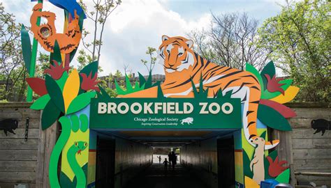 Brookfieldzoo - Brookfield Zoo is the first zoo in the world to be awarded the Humane Certified™ certification mark for the care and welfare of its animals, meeting American Humane Association’s rigorous certification standards. The zoo is located at 8400 31st Street in Brookfield, Illinois, between the Stevenson (I-55) and Eisenhower (I-290) expressways ...
