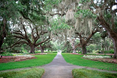 Brookgreen - Hours & Admission Prices. Brookgreen Gardens is open daily from 9:30 a.m. to 5:00 p.m. General admission tickets are $18 for seniors 65 and older, $20 for adults and $10 for children 4-12. Kids three and under are free. All general admission tickets are valid for 7 consecutive days, and many events at Brookgreen are included with general admission.