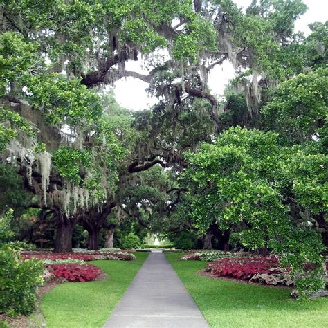 Brookgreen gardens photos. Things To Know About Brookgreen gardens photos. 