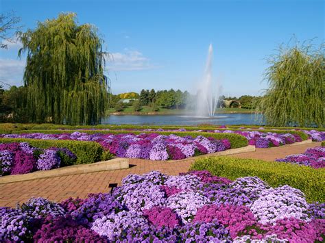 Brotanical gardens. Welcome to the Chicago Botanic Garden. With 28 spectacular gardens on 385 acres, the Garden is a place of ever-changing beauty that you can stroll through daily. Feel free to spend some time on this site and then come for a visit! 