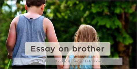 Brother: A Novel Essay Topics & Writing Assignments