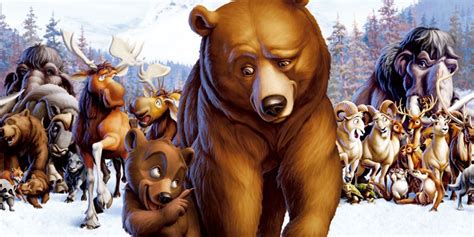 Brotherbear Leaks [HD] 🍆