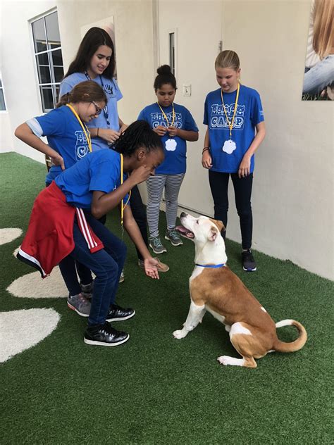 Broward county animal society. Pet Adoption - Search dogs or cats near you. Adopt a Pet Today. Pictures of dogs and cats who need a home. Search by breed, age, size and color. Adopt a dog, Adopt a cat. 