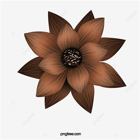 Brown Flores  Xinpu