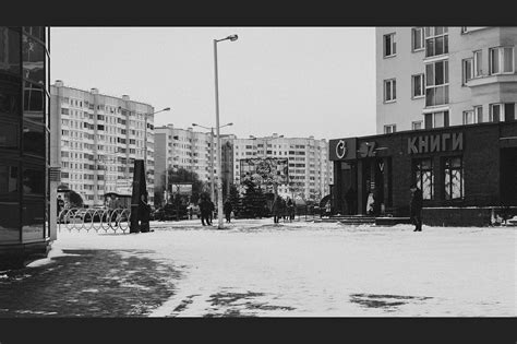 Brown Gray Photo Minsk