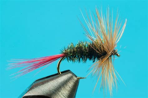 Brown Hackle-Fly Fishing Flies-BigYFlyCo.com