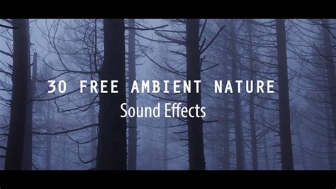 Brown Noise Sound Ambient Sounds - Free Sounds Library