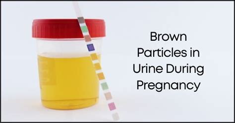 Brown Particles In Urine During Pregnancy, Unusual urinalysis