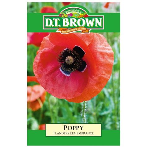 Brown Poppy  Handan