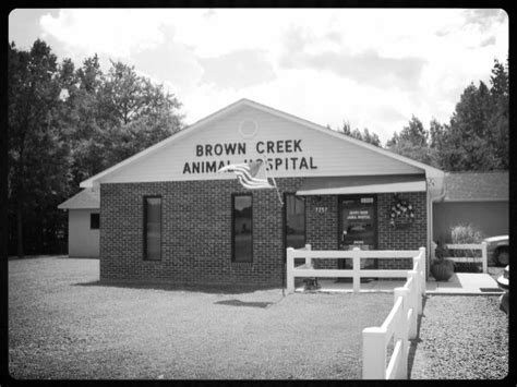 Brown creek animal hospital. VCA Stoney Creek Animal Hospital is a full-service veterinary medical facility, located in the University area of Charlotte, NC. Our professional and courteous staff seeks to provide the best possible medical, surgical, and dental care for their highly-valued patients. We are committed to promoting responsible pet ownership, … 