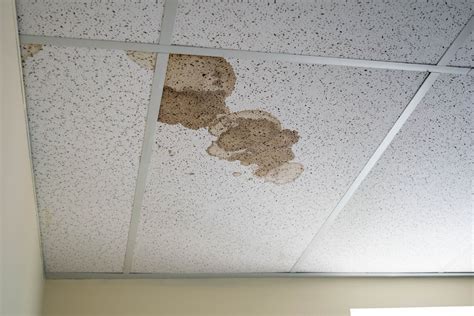 Brown spots on ceiling. Mobile Home Ceiling Stains. Ugly brown stains are a common feature of mobile home ceilings. They develop when roof leaks or condensation cause water to drip onto the ceiling tiles from above. They persist because removal is not as simple as painting over the stain. The stain “bleeds” through paint, leaving it as ugly as before. 