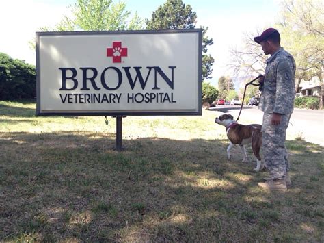 Brown vet. Things To Know About Brown vet. 