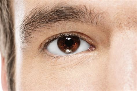 Brown-Eyed Guys Seem More Trustworthy, Study Suggests