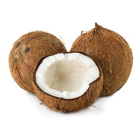 😈 Browncoconut Leaked XXX