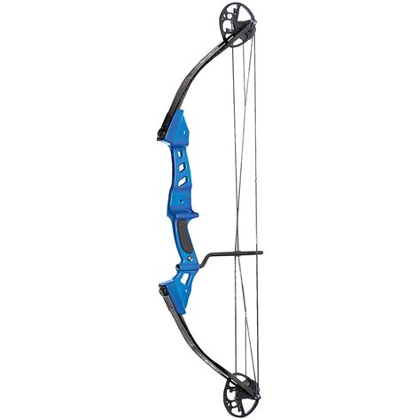 here we will be talking about the Browning Rage Compound Bow. A favorite bow of mine. I am sorry about the birds singing in the video, Dawn wanted to reshoot...