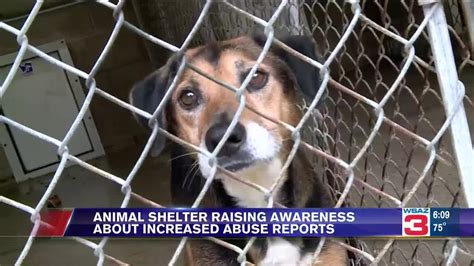 Brownstown animal shelter. Things To Know About Brownstown animal shelter. 