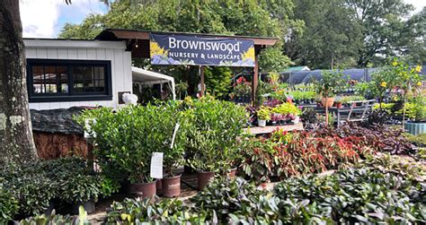 Brownswood nursery. Find local businesses, view maps and get driving directions in Google Maps. 