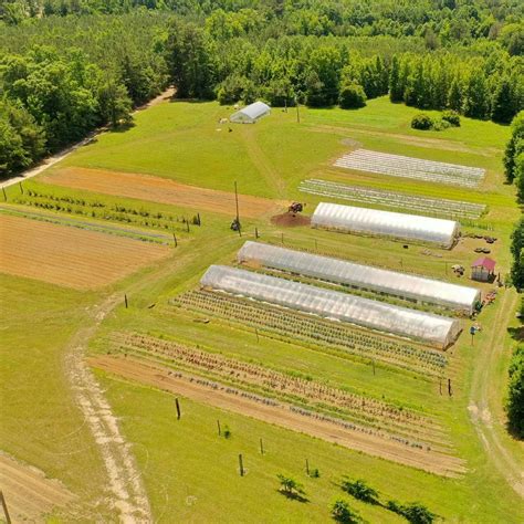 Browntown Farms - Future Harvest