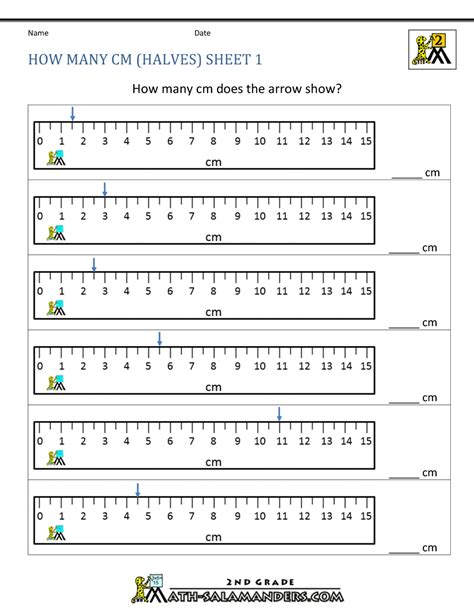 Browse Printable Measuring Length Worksheets Education.com