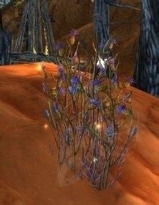 Bruiseweed - Object - WotLK Classic