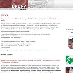 🍌 Brunaonline Leaks [CLIP]