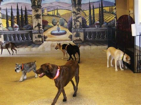 BRUNO’S BATH HOUSE DOG SPA & RESORT - Updated April 2024 - 11027 