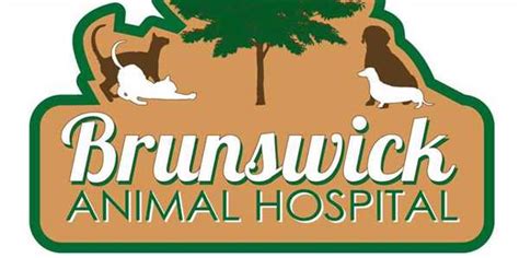 Brunswick animal hospital. Thursday: 8:00 AM - 5:00 PM. Friday: 8:00 AM - 5:00 PM. Saturday: 8:00 AM - 12:00 PM. Sunday: Closed. Resources and information to help you and your pet prepare for your next visit to Brunswick Animal Hospital. 
