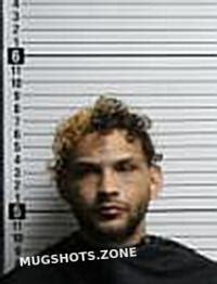 Brunswick county mugshots today.  Mugshot.  Updated daily with public booki...