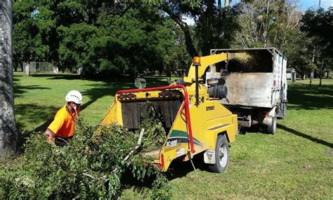 Brush removal. Brush must be out no later than 7:00 AM on the Monday morning of the scheduled pick up week. Brush must not be placed on the parkway until the weekend prior to ... 