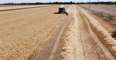 Brussels wants to help Eastern countries shift Ukrainian grain