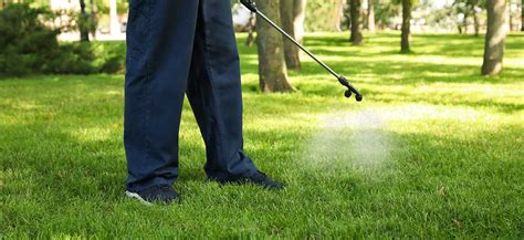 Bryans Lawn Care Lawn Care Services in San Antonio, TX