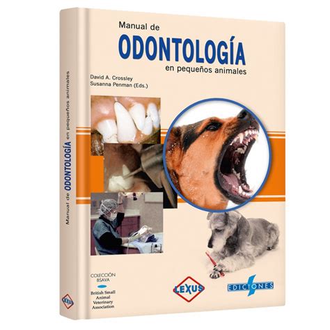 Bsava manual de odontologia pequenos animales 2e spanish edition. - Charts for intermediate greek grammar and syntax a quick reference guide to going deeper with new testament greek.