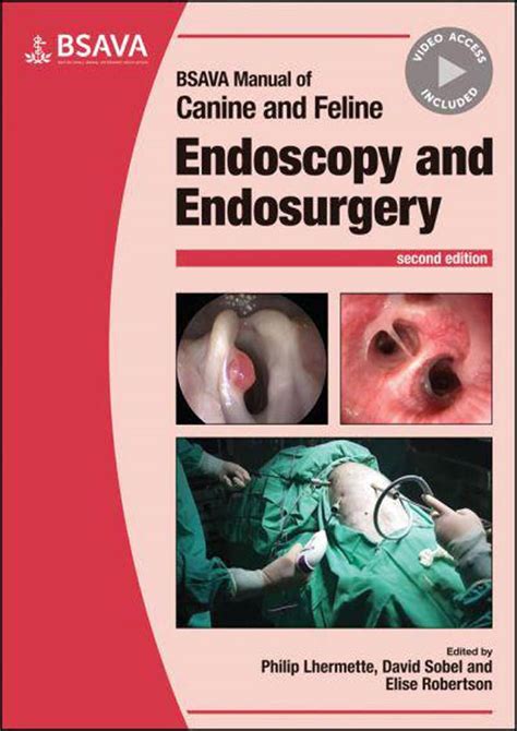 Bsava manual of canine and feline endoscopy and endosurgery. - Information technology operations and maintenance manual template.